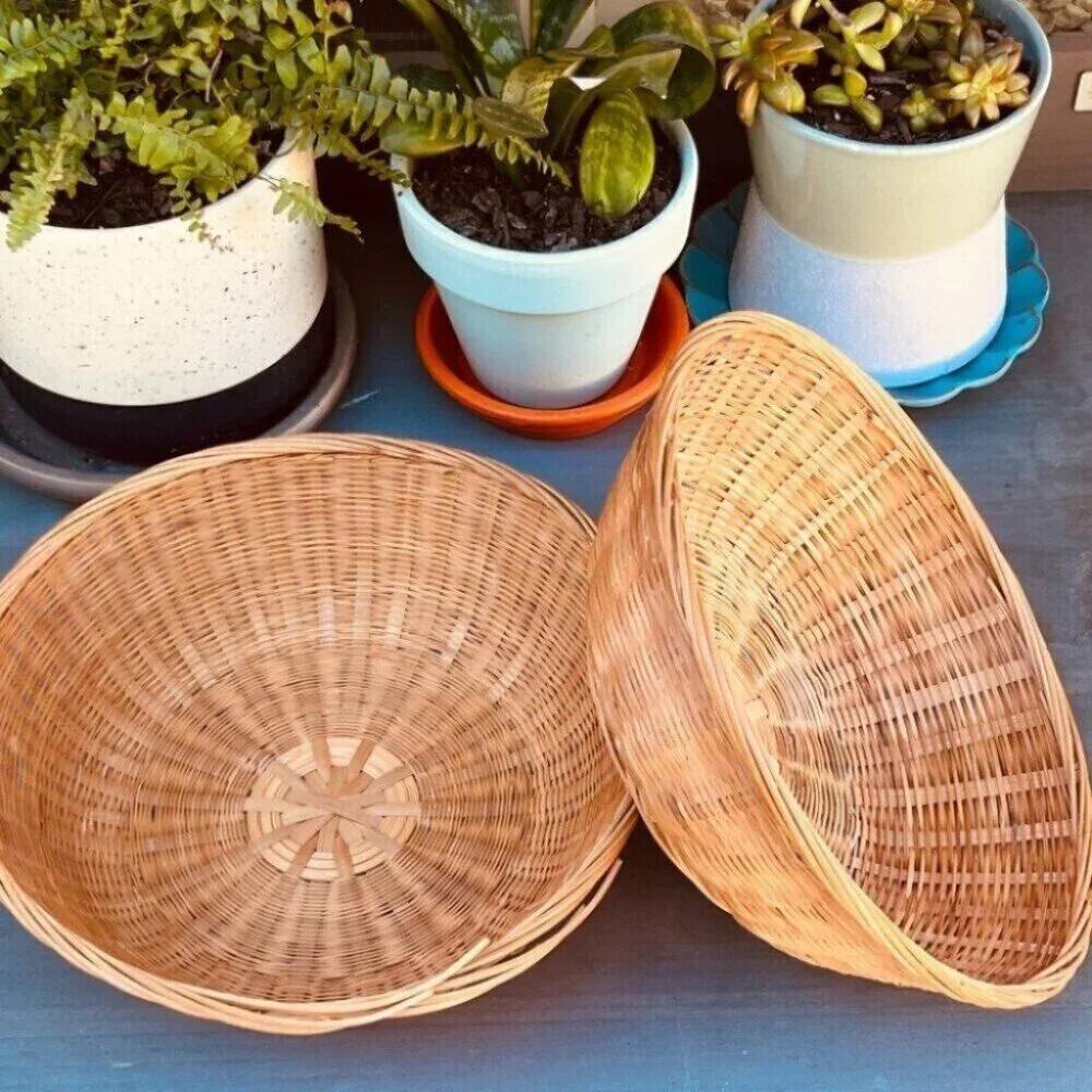 Woven Vintage Baskets Bowl Plants
